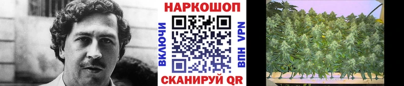 Где можно купить наркотики Среднеколымск КОКАИН  hydra маркетплейс  Псилоцибиновые грибы  Канабис  Мефедрон 