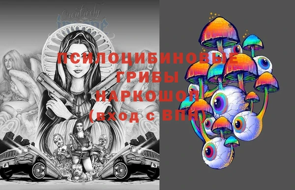 гидра Абаза