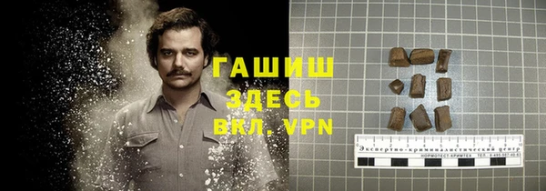 гидра Абаза